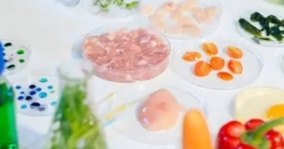 Les Marmandises éclairées et gourmandises