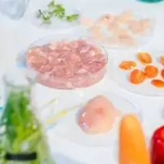 Les Marmandises éclairées et gourmandises