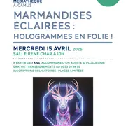 Les Marmandises éclairées : Hologramme en folie !