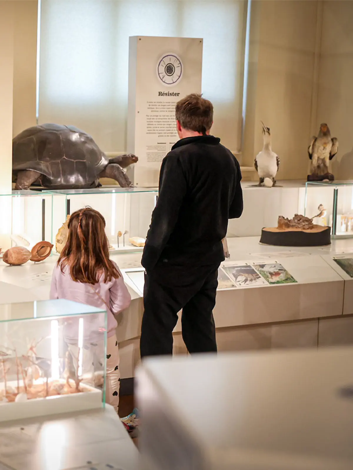 Les mercredis de l'Agora