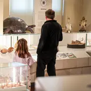 Les mercredis de l'Agora