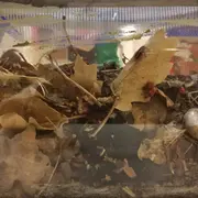 Les mercredis de l'Agora