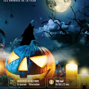 Les mercredis de la Loire avec la Maison de la Loire : les animaux de la peur