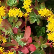 Les Mercredis du Nuage - Naja Bendix