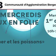 Les mercredis jeux en folie | La mer et les poissons