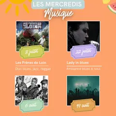 Les mercredis musique de Zebull'in