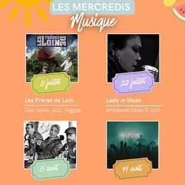 Les mercredis musique de Zebull'in