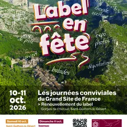 Les merveilles médiévales : visite de l'Eglise de Saint-Martin-de-Londres