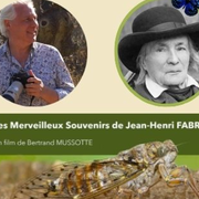 Les merveilleux souvenirs de Jean-Henri Fabre -film documentaire