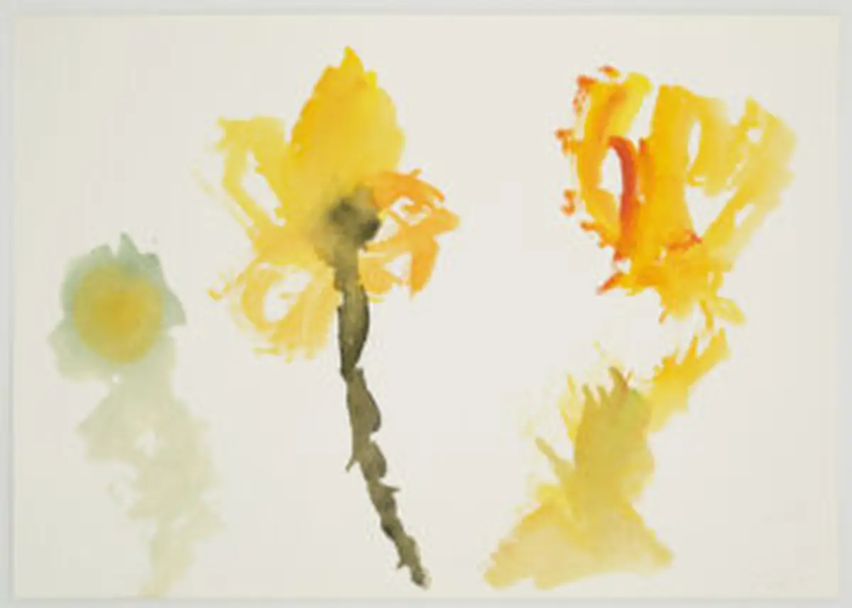 Les mini-mercredis : Un jardin extraordinaire