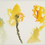 Les mini-mercredis : Un jardin extraordinaire