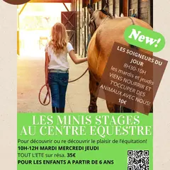 Les Minis Stages Des écuries De Palhères