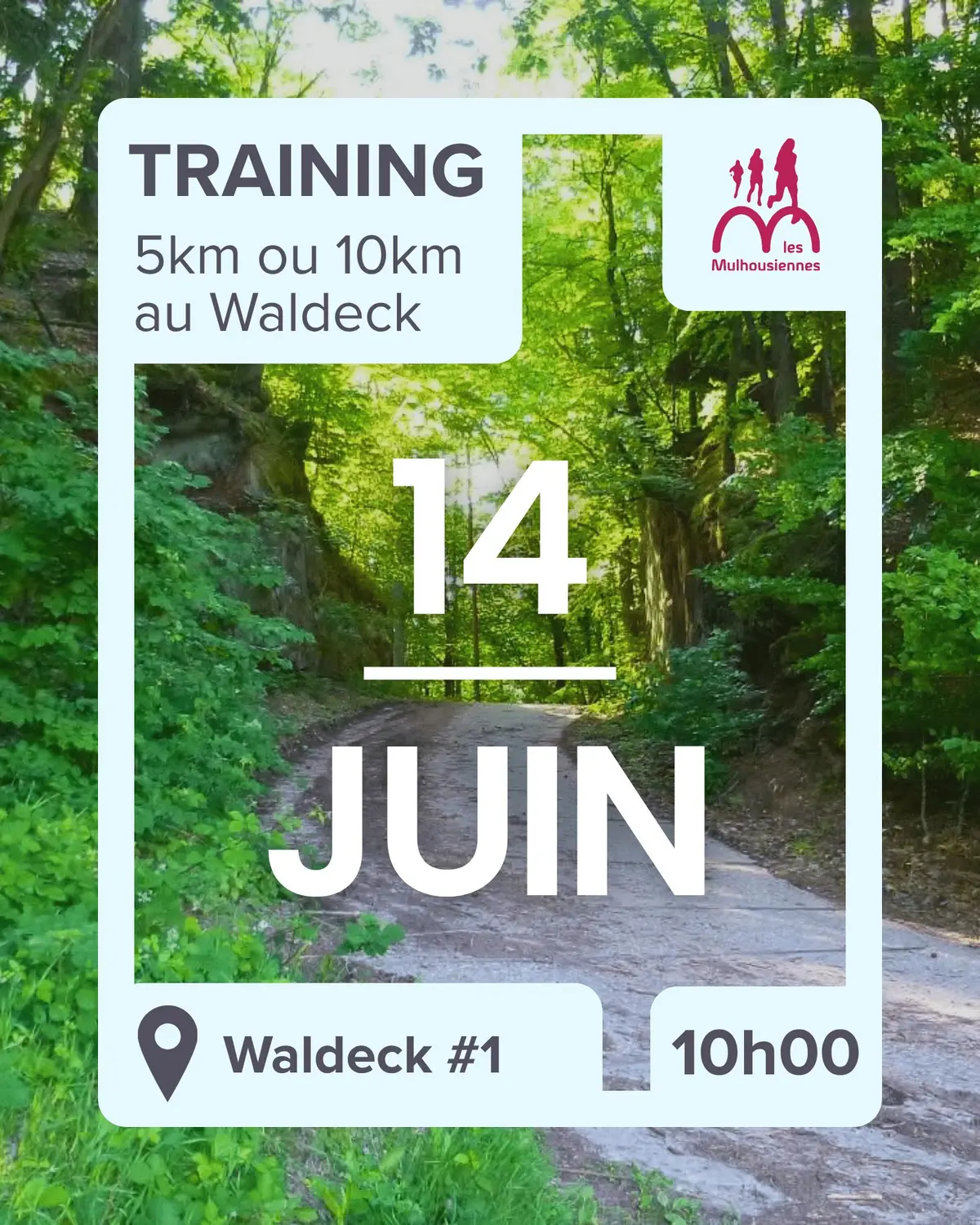 Dimanche matin au vert #1