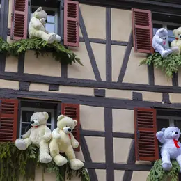 Colmar et environs : quand ouvrira la billetterie des Navettes de Noël 2026 ?