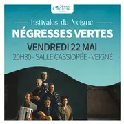 Les Negresses Vertes