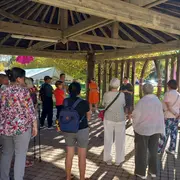 Les Nocturnes Eugénoises