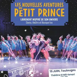 Les Nouvelles Aventures Du Petit Prince