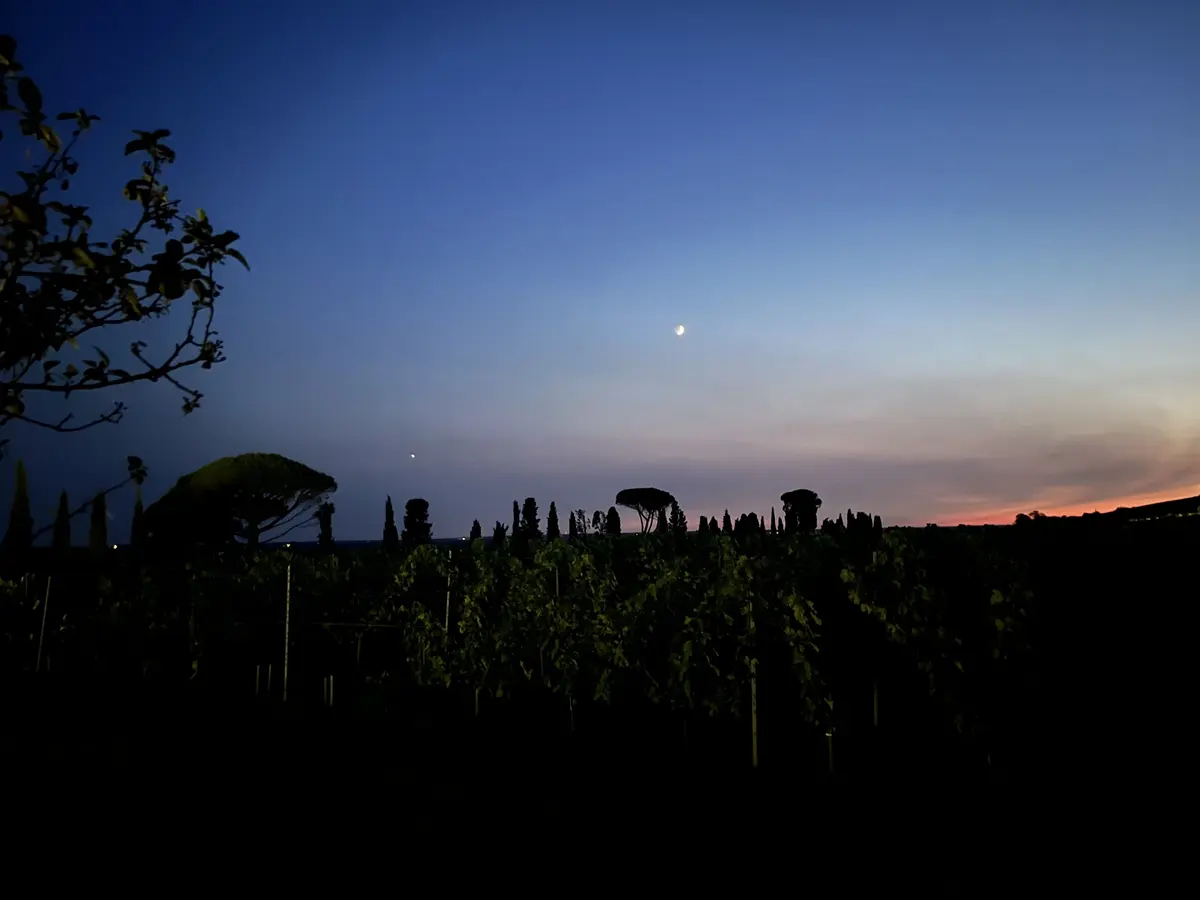 Les Nuits Atypiques au Domaine de Malagar
