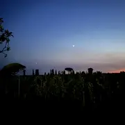 Les Nuits Atypiques au Domaine de Malagar