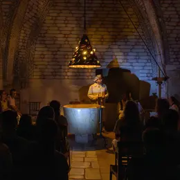 Les Nuits D'Elne - Visite Contee Et Musicale Au Cloitre