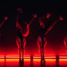 Les Nuits d'Orion : le néo-cabaret qui traverse la nuit.