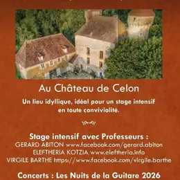 Les Nuits de la Guitare