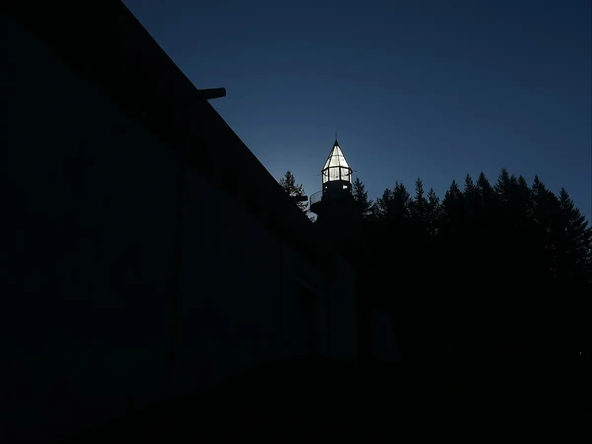 Les Nuits de la lecture