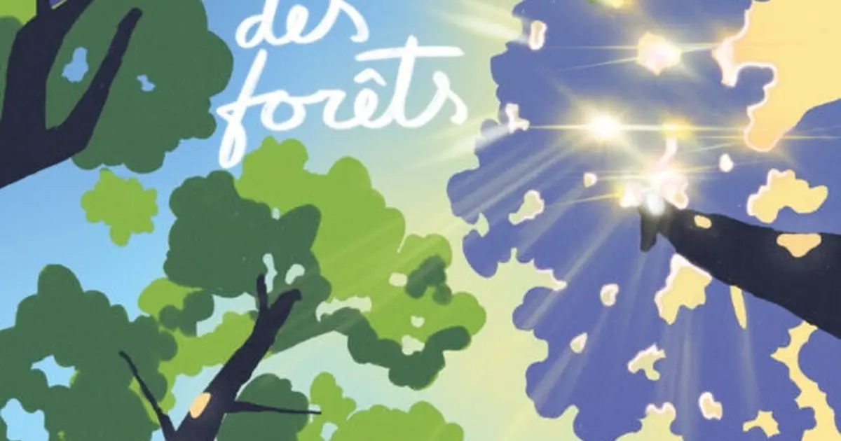Les Nuits des Forêts