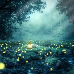 Les nuits des forêts