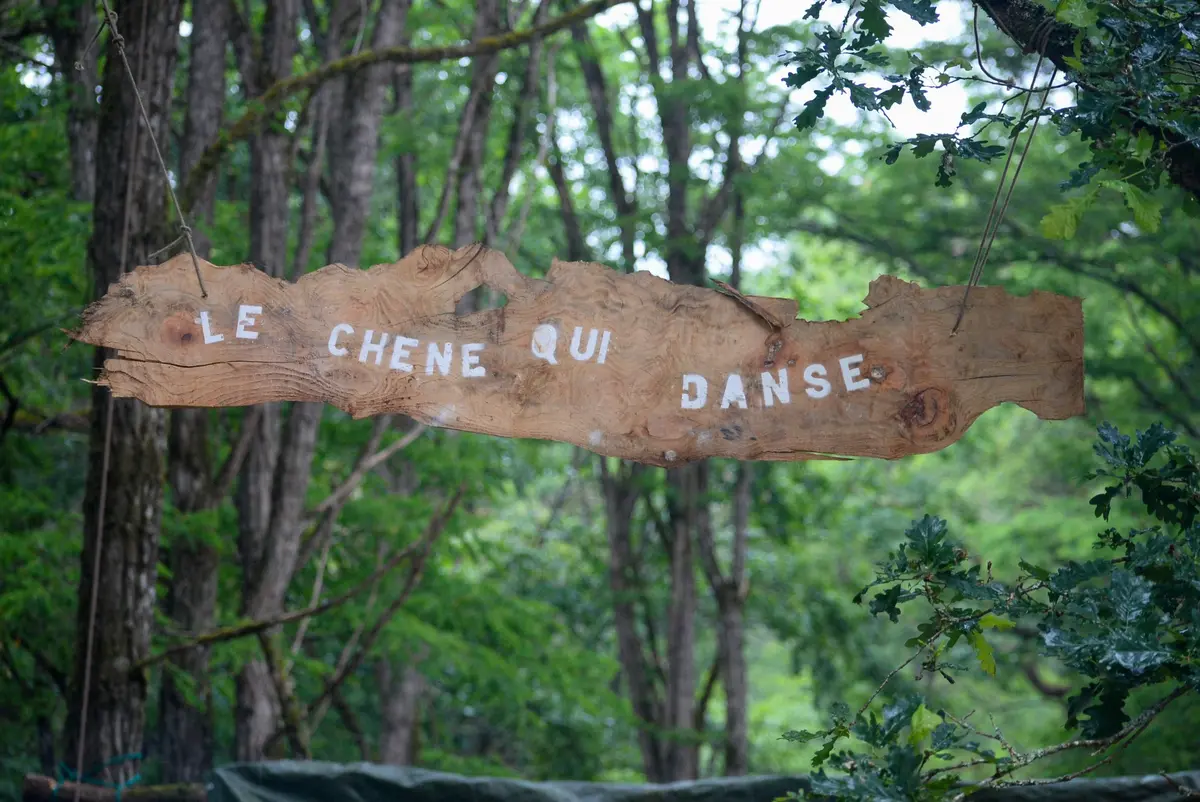 Les Nuits des forêts - À l'écoute des vivants