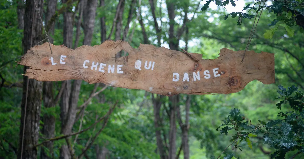 Les Nuits des forêts - À l'écoute des vivants