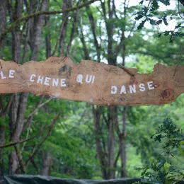Les Nuits des forêts - À l'écoute des vivants