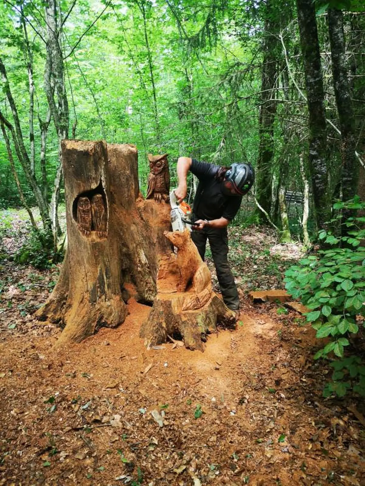 Les Nuits des Forêts au Bois Henrys