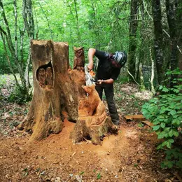 Les Nuits des Forêts au Bois Henrys