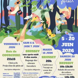 Les Nuits des Forêts : Baguage des oiseaux forestiers