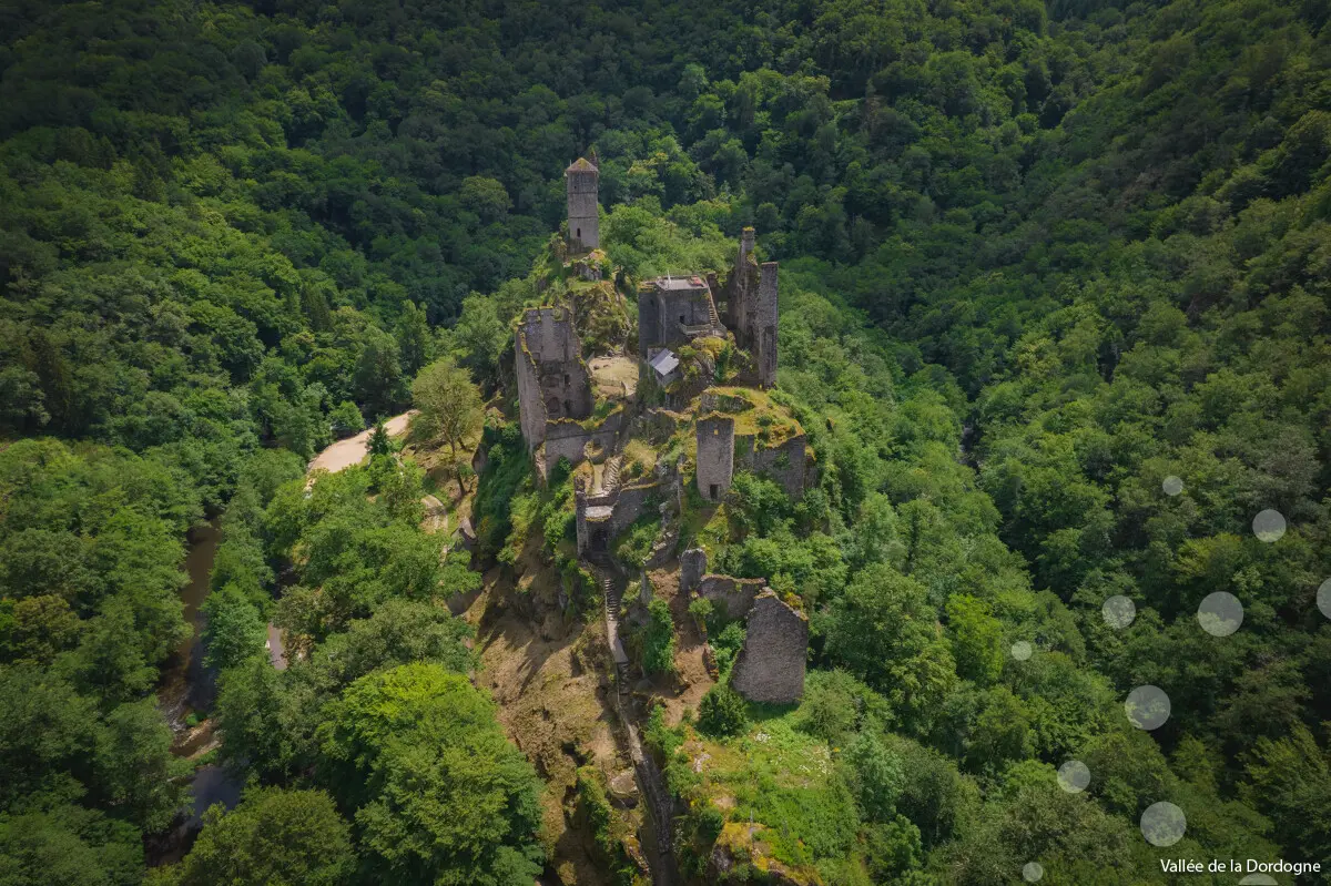 Les Nuits des Forêts en Vallée de la Dordogne Corrézienne