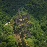 Les Nuits des Forêts en Vallée de la Dordogne Corrézienne