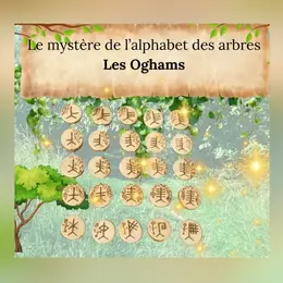 Les oghams : Le mystère de l'alphabet des arbres