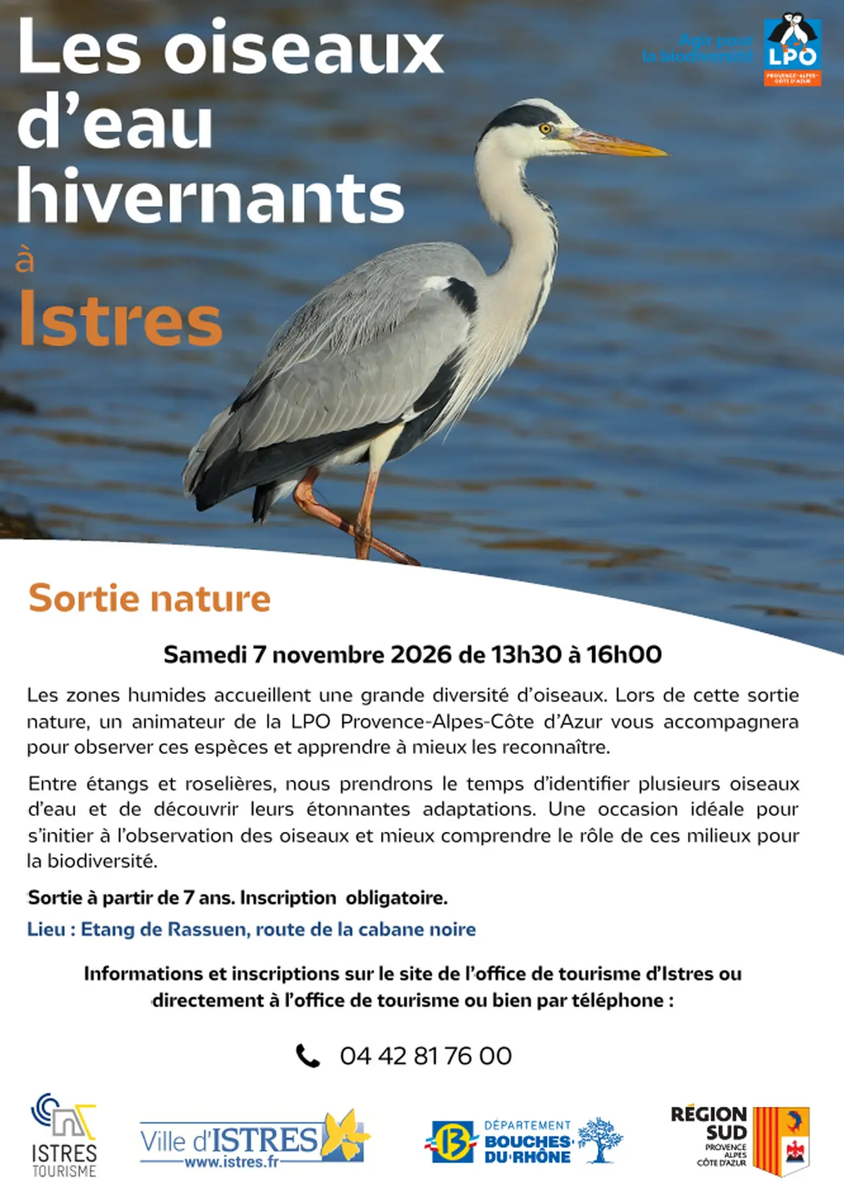 Les oiseaux d'eau hivernants à Istres avec la LPO