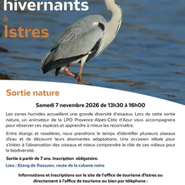 Les oiseaux d'eau hivernants à Istres avec la LPO