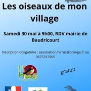 Les oiseaux de mon village