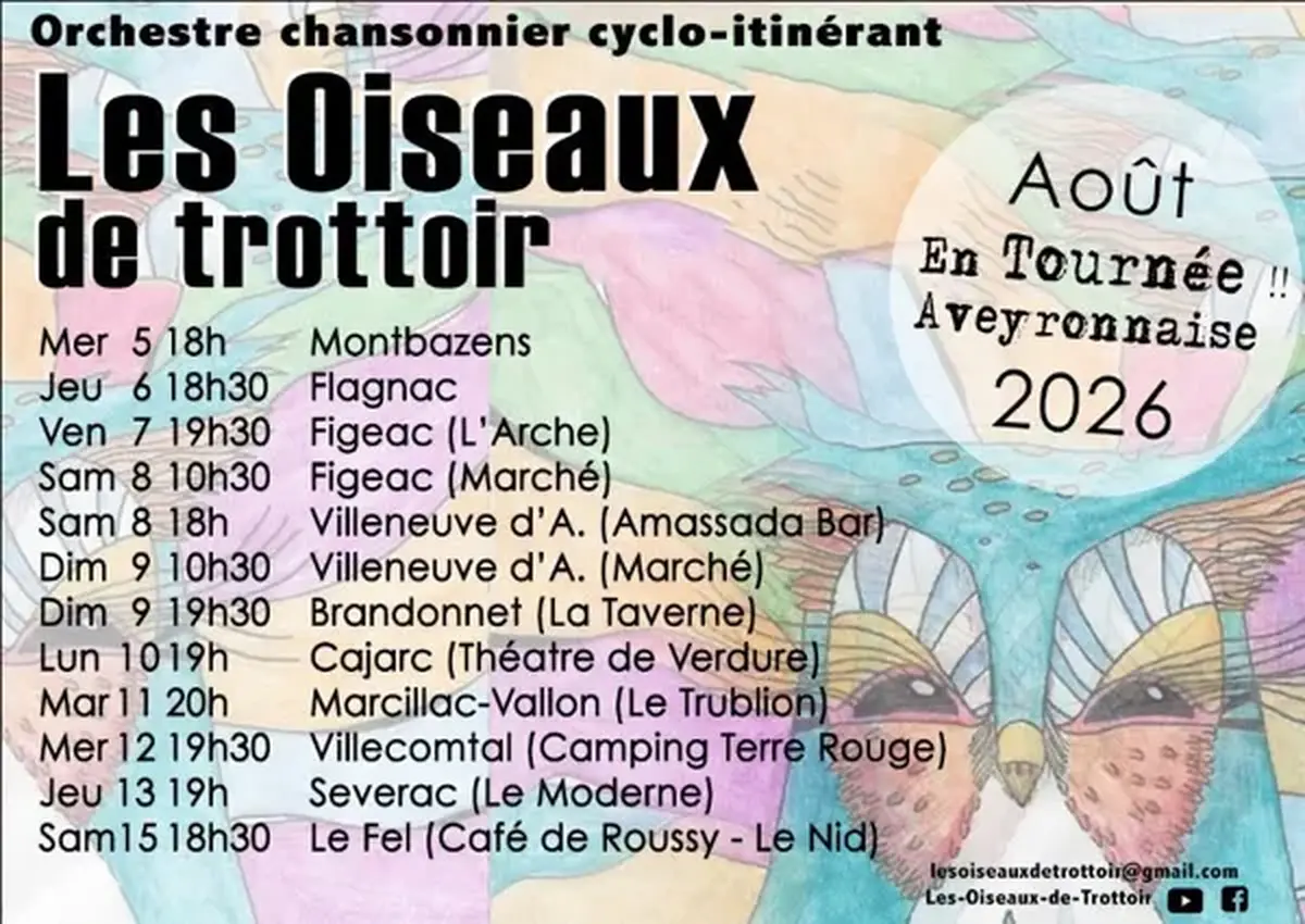 Les oiseaux de trottoir
