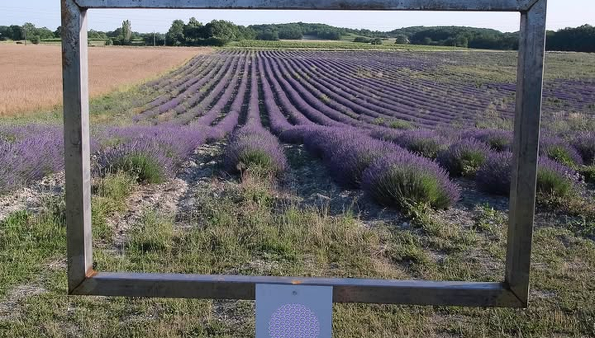 Les oiseaux des milieux agricoles avec la LPO