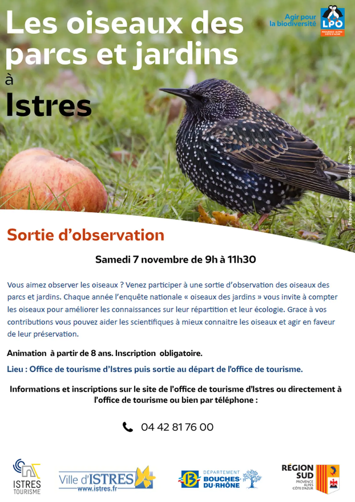 Les oiseaux des parcs et jardins à Istres avec la LPO