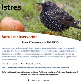 Les oiseaux des parcs et jardins à Istres avec la LPO
