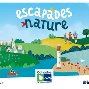 Les oiseaux des Rochers de la Houle