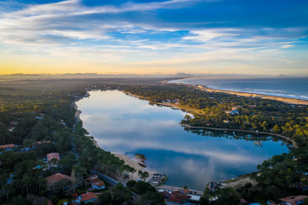 Les oiseaux du lac d'Hossegor