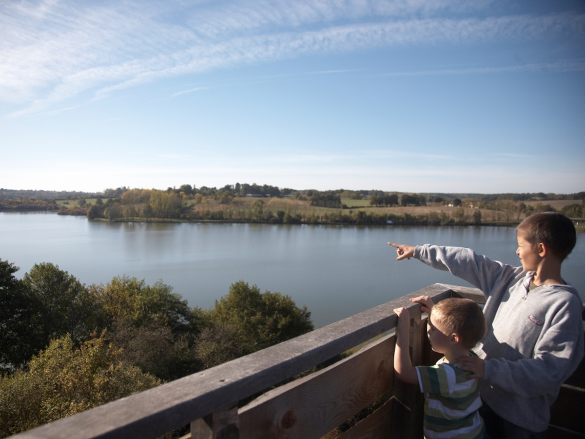 Les oiseaux du lac de la Prade