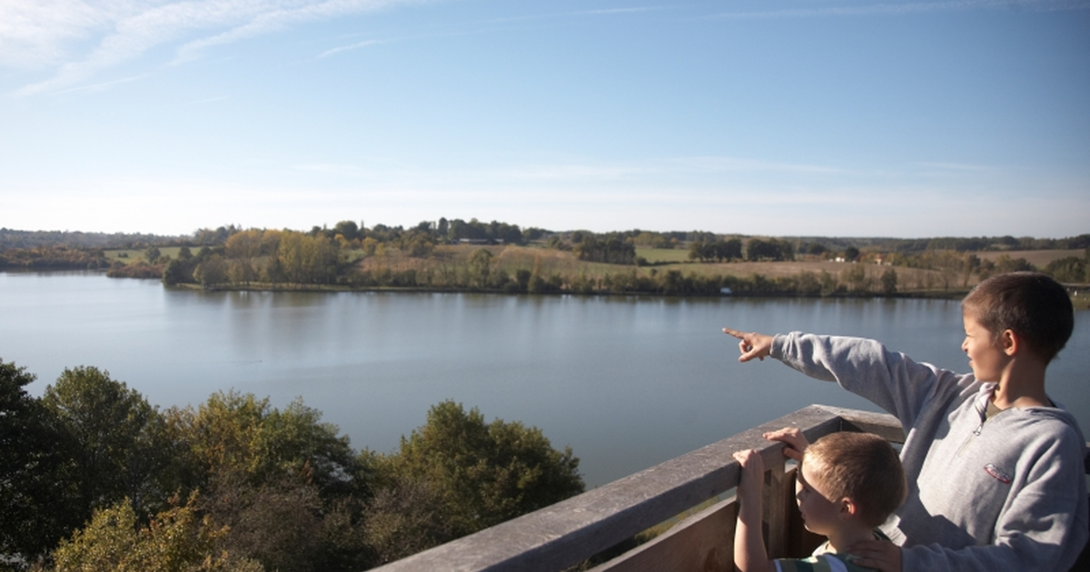 Les oiseaux du lac de la Prade