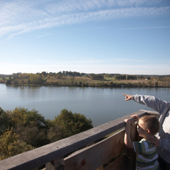 Les oiseaux du lac de la Prade